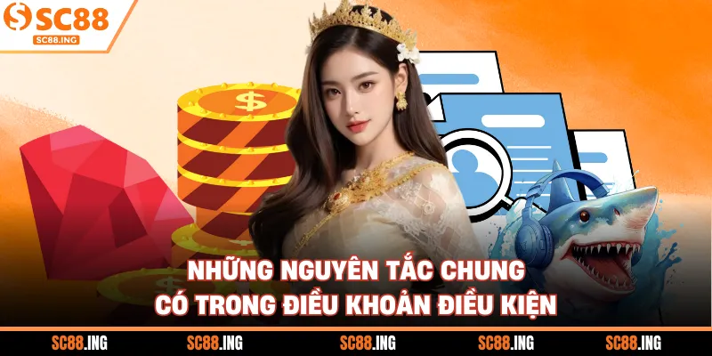 Những nguyên tắc chung có trong điều khoản điều kiện