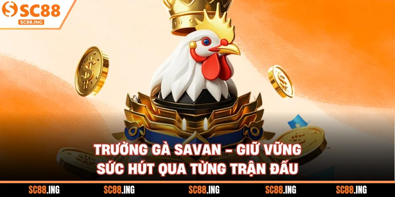Trường Gà Savan - Giữ Vững Sức Hút Qua Từng Trận Đấu
